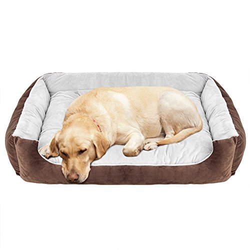14 Best Dog Beds For Labs Reviewed [2024] PetStruggles