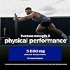 USN Creatine Monohydrate 500 g Size and Strength Powder