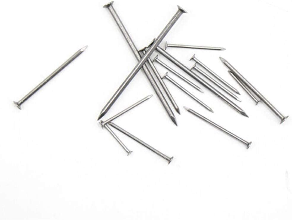 Panel Pins, Assorted Nails for Wood, Woodworking Nails, Foreign Nails, Round Nails, Handmade Wall Nails, fine Iron Nails, 1 Inch 25mm (500g) miniatura 1