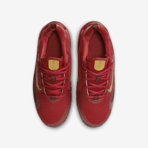 Nike IsoFly Big Kids' Basketball Shoes (FZ7298-600, Gym Red/Team Red/Dark Team Red/Metallic Gold) Size 54