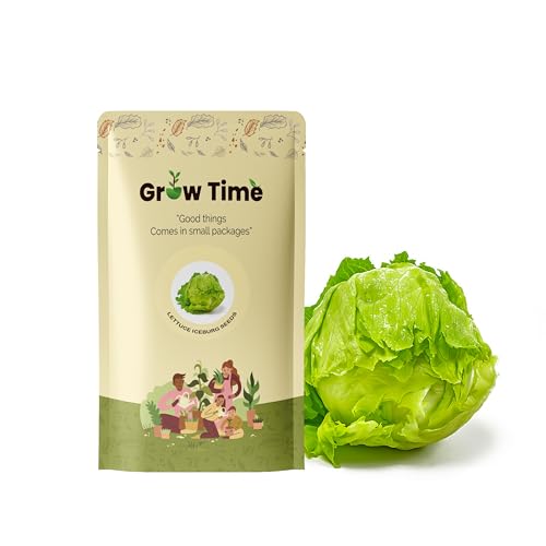 Image of Lettuce Iceberg Vegetable Seeds, Vegetable Seeds for Home Gardening, Vegetable Planting Seeds for Kitchen, Lettuce Iceberg Seeds (Green, Pack of 2g)