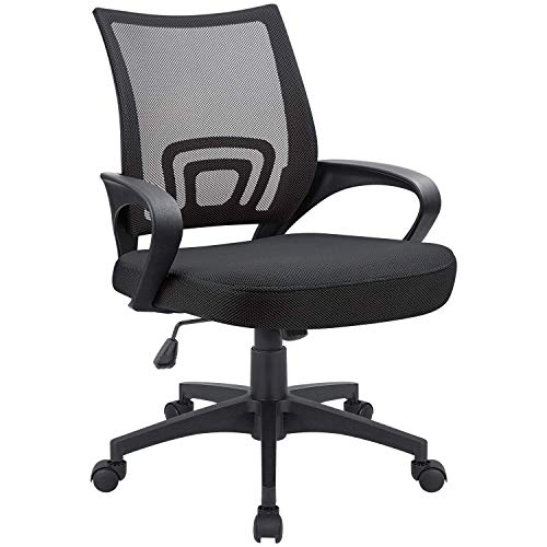 Devoko Office Chair Ergonomic Computer Desk Chair Mid Back Swivel Rolling Chair with Height Adjustable Lumbar Support Mesh Executive Chair with Armrests (Black)