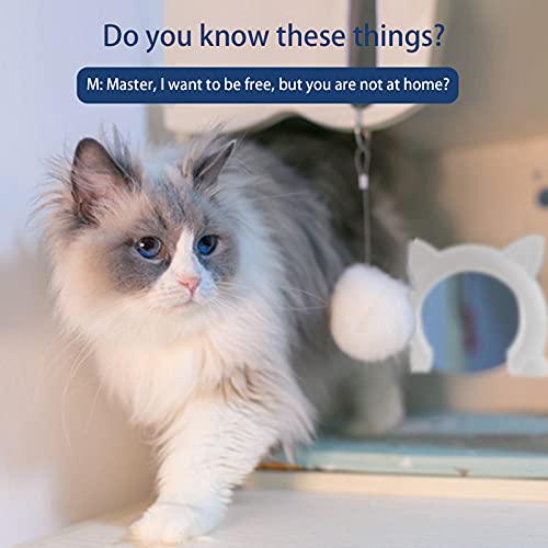 Porta de gato, porta de animal de estimação para porta interna de gatos, passagem de forma de 9x11 p