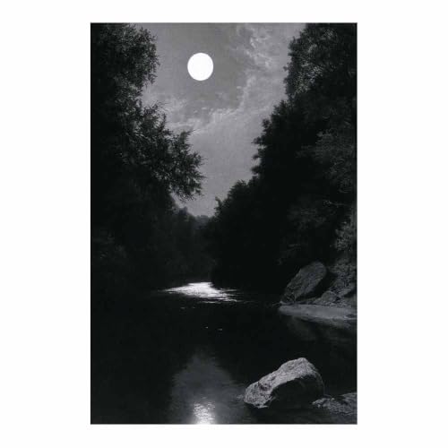 Peinture sur toile noir et blanc Night Creek 80x120cm sans cadre