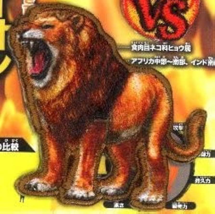 王選候補者　フェルト　SP PSA10 Amazon.co.jp: 遊戯王カード 軌跡の魔術師(スーパーレア