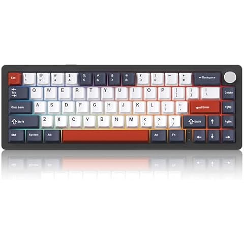 EMB Nabi Series NB1 65% Wireless Mechanical Gaming Keyboard, 66 Keys, CNC Aluminum, RGB, Hot-Swappable, 4600mAh, Milk Linear Switches, Wired/Bluetooth/2.4G (Black/Blue) Cover