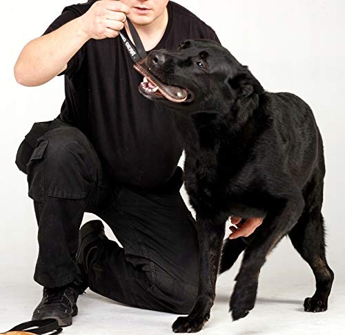 Dingo Gear Beißwurst Hundespielzeug Handarbeit genarbtem Leder für Training IGP IPO Obiedence Hundetraining Ausbildung (Set 3 Stück) S10035