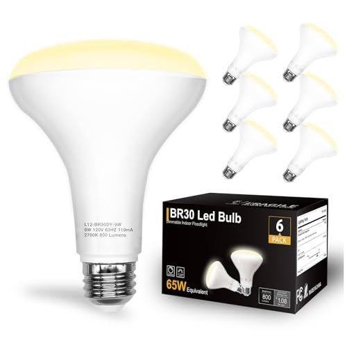 DAYBETTER BR30 LED Light Bulb 65W Equivalent, Dimmable BR30 LED Recessed Light Bulb, 2700K Warm White, 800 Lumens, E26 Standard Base, 80 CRI, Flood Light Bulbs for Bathroom Bedroom Kitchen, 6 Pack