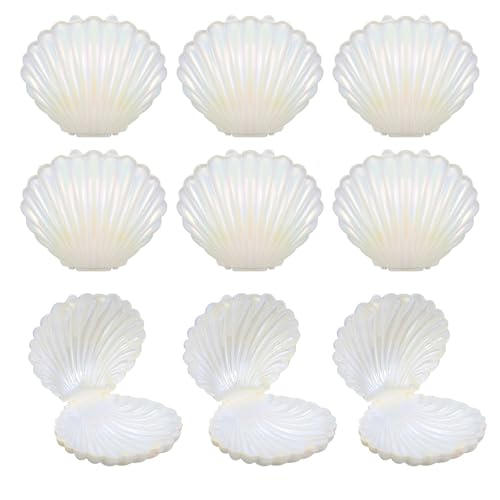 Boîtes à bonbons coquillage pour décoration de table de mariage et fête prénuptiale