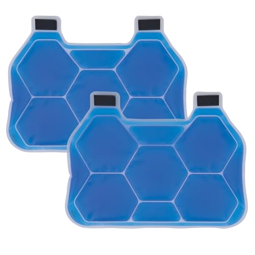 Pack de glace pour gilet Ergodyne Chill Its 6220 transparent x2