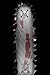 Chainsaw