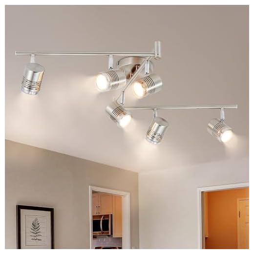 DLLT 6-Light Track Lighting Fixtures Swing Arm, Kitchen Ceiling Spot Light, Flush-Mount Foldable Track Rail Lighting for Living Room, Dining Room, Offices, Bedroom, Picture Wall, Kitchen, Warm Light