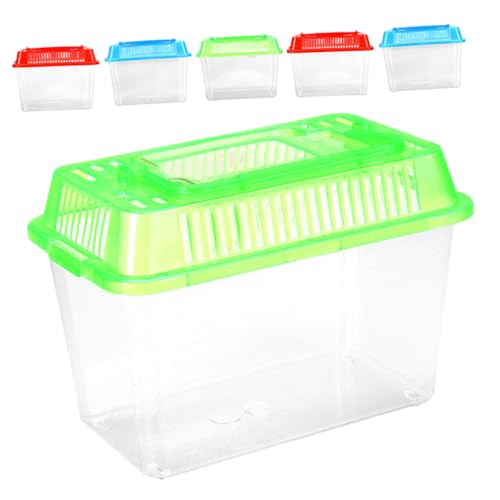 6 |[^uybg{bNX  fXNgbvp