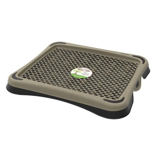 Assento do vaso sanitário(Gold)