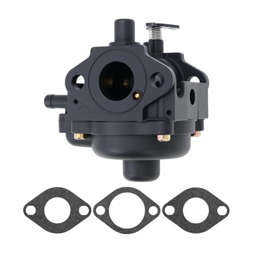 Carburateur pour souffleuse à neige CCR3650 et CCR2450