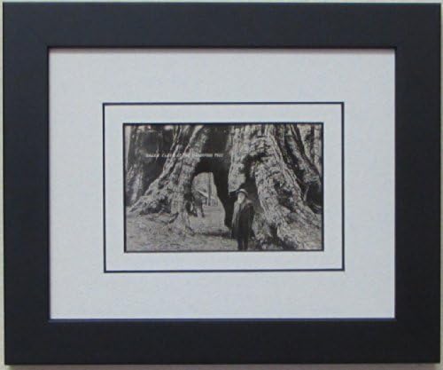 Post Card Frame for 3.5" X 5.5" Post Card Black Frame with White (Black Trim) Matting