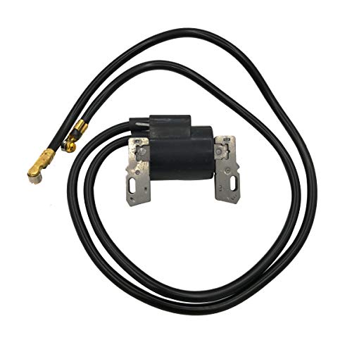 Cancanle Ignition Coil Module for Briggs & Stratton 394891