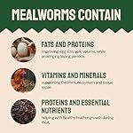 Dried Mealworms 5 lbs - Organic Non GMO Chicken Feed - High Protein Poultry Feed - Mealworms for Chickens, Wild Birds & Laying Hens - Image 5