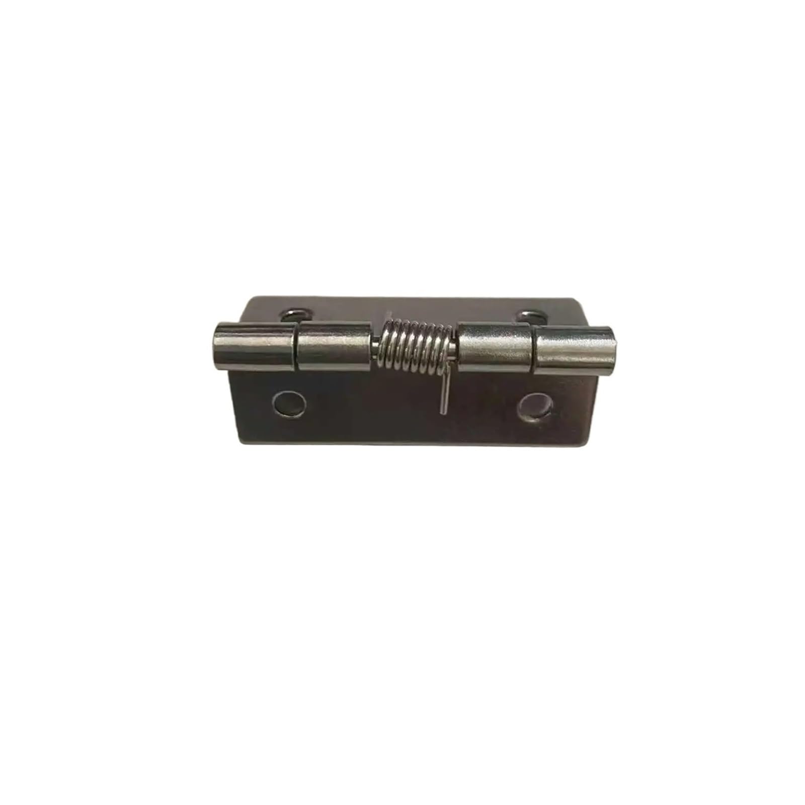 Wsqhao One Color 10Pcs Self Closing Spring Hinge 304 Stainless Steel Loaded Door Hardware Accessories For Doors(1 Inch)