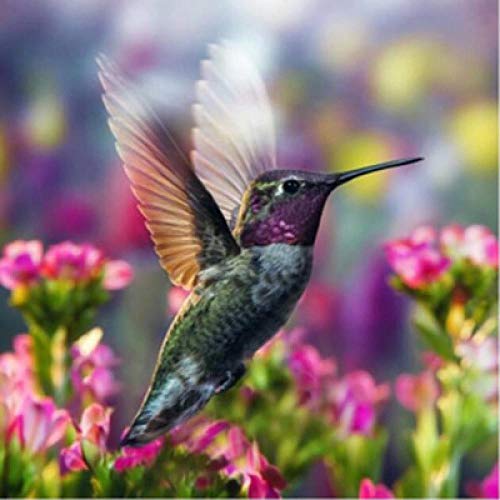 Peinture diamant 5D colibri et fleurs broderie complète en résine pour loisirs créatifs