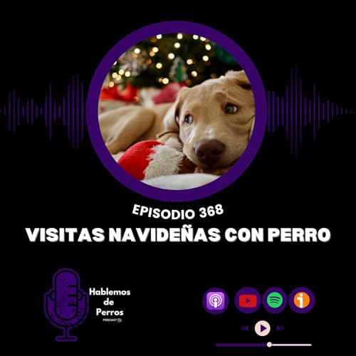 EP#368: Consejos para visitas navide&ntilde;as con perro
