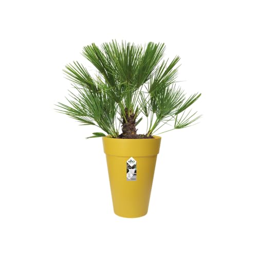 Pot de fleurs extérieur Elho rond haut jaune ocre pour terrasse - 4