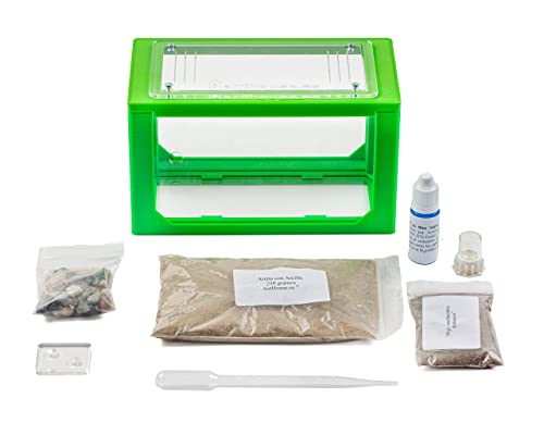 AntHouse - 3D Sand Ant Hill | Grey Starter Kit 7.87 x 3.94 x 3.94 in | Ant Farm - Image 4
