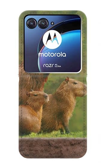 jjphonecase RW3917 Capybara Family Flip Case for Motorola Razr 40 Ultra, closed view showing capybara graphic