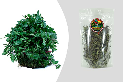 Menta Hoja Natural | Hoja de Menta | Corte y Secado Natural | 70grs