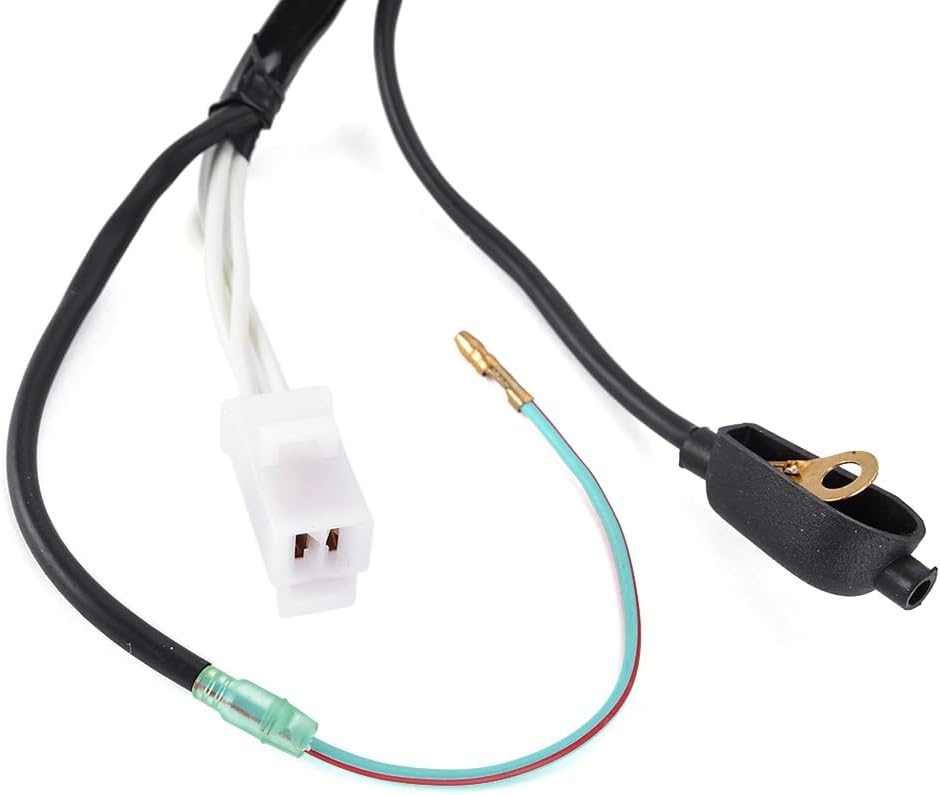 メダル2種類 純金干支十二稜メダル（卯）を最高額相場で売るならディアスワタナベ