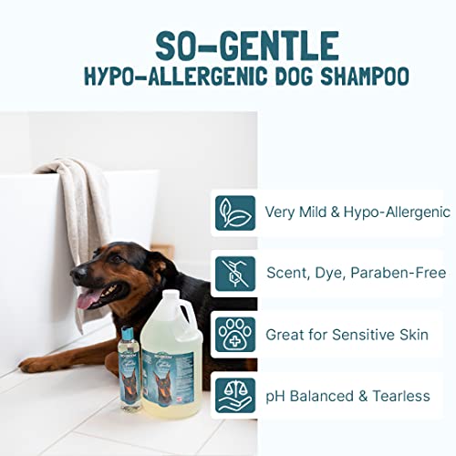 Image of Bio-Groom So Gentle Hypo-Allergenic Dog Shampoo - Soap-Free Tear-Free Shampoo for Sensitive Skin, Coconut & Palm Kernel Formula, Reduces Itching & Irritation, 355 ml