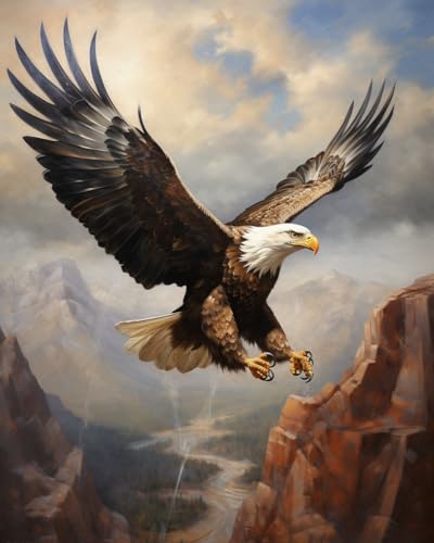 Cross-Stitch Stamped Kits, Majestic Eagle in Flight, Printed Cross Patterns, Embroidery Crafts Needlepoint Kit, Beginners Starter Kits, DIY Handmade Gifts 11CT 3 Strands 16x20 inch