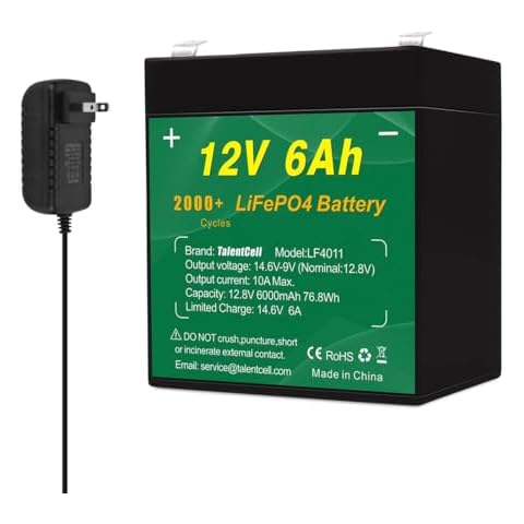 Talentcell 12V 6Ah LiFePO4 Battery Pack LF4011, 2000 Cycles Rechargeable 12.8V 76.8Wh Lithium Iron Phosphate Battery for LED Strip, Camping, Fish Finder, Security System, Ride Toys, Small Backup UPS Cover