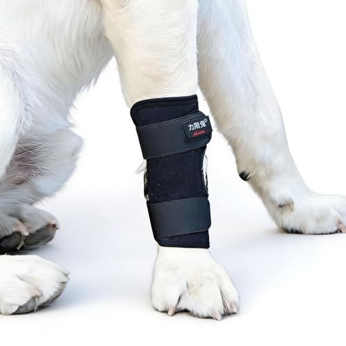 Lanyihome Pet Dog Hind Leg Support Brace, Joint Protection Knee Fracture Support Band for Senior Short-Legged Dogs, Black S Size