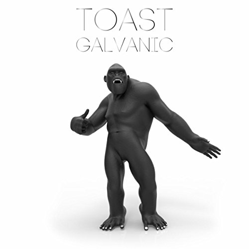 Galvanic