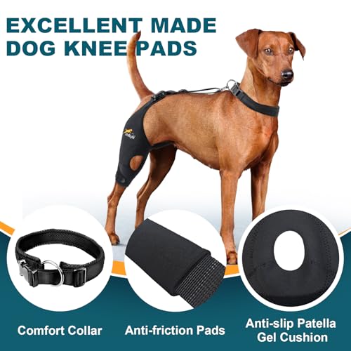 Dollephi Hunde-Kniebandage für gerissenes ACL-Hinterbein, Unterstützung bei Patella-Luxation oder Arthrose, Kreuzbandverletzungen, Aussparung, rutschfeste Bandage fördert die Patella-Stabilität