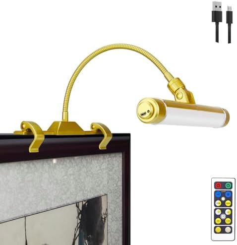 LUXSWAY Wireless Picture Frame Led Lighting,Rechargeable Art Display Lighting Clip on Pictures,Over Painting Lights with Remote,Artwork Lamp with Flexible Neck,28 LEDs 3 Lighting Modes 200LM-Gold