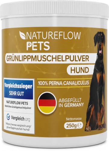Grünlippmuschel Hund TESTSIEGER - 250g natürliches Grünlippmuschelpulver für Hunde - Unterstützung der Gelenkfunktion - Grünlippmuschel für Hunde mit Hoher Akzeptanz - Grünlippmuschelpulver Hund