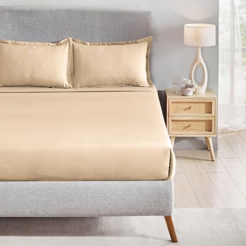 Image of myTrident Bedsheet for Double Bed King Size | 108 inch x 108 inch | Irish Cream