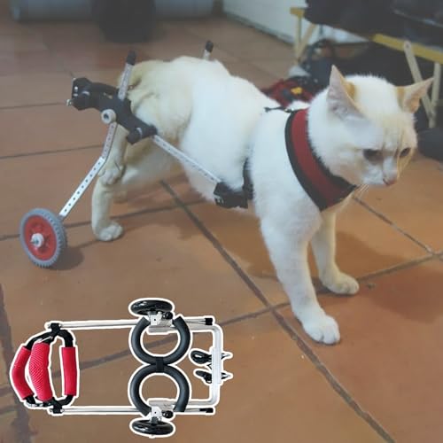 Fauteuil roulant pour chien soulagement pattes arrières chariot animaux handicapés taille XS