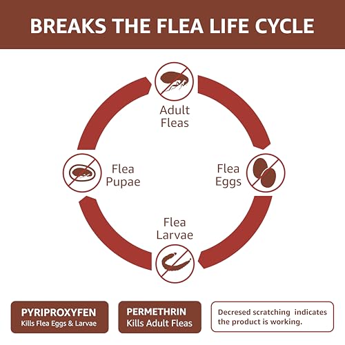 Amazon-Basics-Flea-Tick-Mosquito-Topical-Treatment-for-Large-Dogs-21-55-pounds-6-Count-Previously-Solimo Amazon Basics Flea Tick Mosquito Topical Treatment for Large Dogs 21 55 pounds 6 Count Previously Solimo