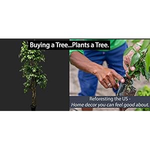 Cypress & Alabaster Handmade 6.5ft 3-Tier Ficus Artificial Tree with Ethically Sourced Real Wood Trunks, Hypoallergenic, 6.5-Foot, Green Cypress Alabaster Handmade 65ft 3 Tier Ficus Artificial Tree with Ethically Sourced Real Wood Trunks Hypoallergenic 65 Foot Green