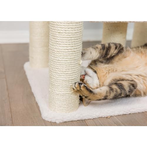 Árbol para Gatos Armarkat B6203 Clásico de Madera Real miniatura 5