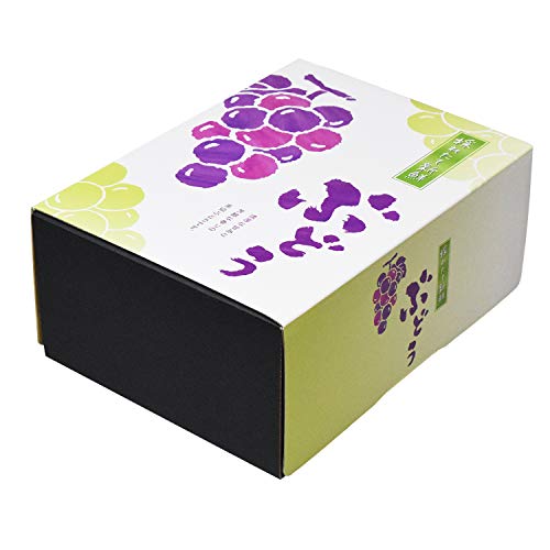 pbP[W Ԃǂp Mtg ̂ꂽĂԂǂ 210×147×90mm 100Zbg