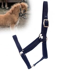 Jeffers Equine Mini Horse Halter – 3/4″ Nylon Adjustable Halter for Miniature Horses, Ponies, Under 300 lbs – Heavy Duty Hardware, Secure Fit for Training, Turnout, Grooming, Travel – Black