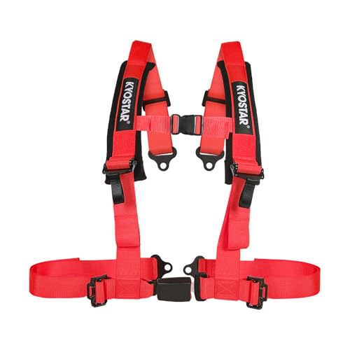 4 Point Harness with Iron Latch