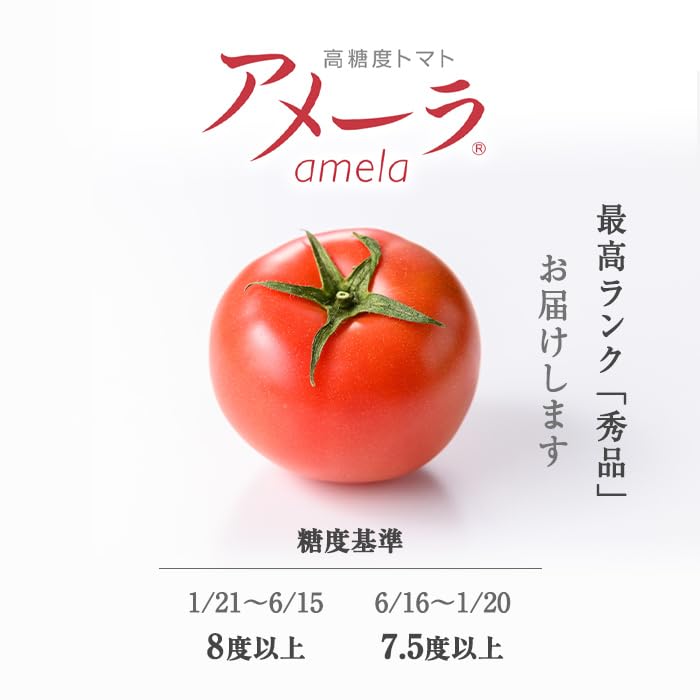 Amazon.co.jp: 【先行予約】アメーラトマト 1箱 ｜ Sサイズ（15〜16玉