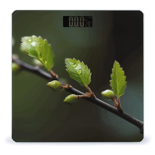 Báscula digital de baño New Leaves en vidrio templado miniatura 1