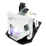 ✔ Todas las lámparas de proyector se probarán estrictamente antes del envío para garantizar que las lámparas puedan funcionar normalmente y un uso seguro de cada grupo. (Incluye la mecha, la taza de la lámpara, la carcasa, etc.)