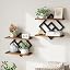 Rustic Brown + Black